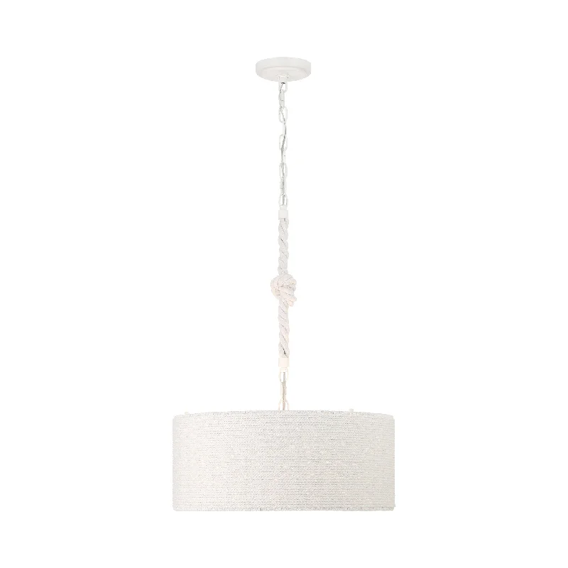 Dimmable track lighting for home officesLodelle Pendant Light