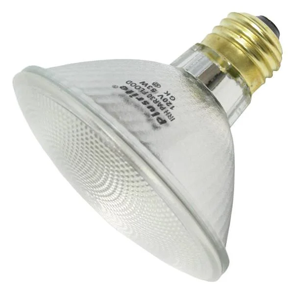 Track lighting with frosted glass shadesRadiant-Lite 3016 PAR30 50 Watt 130V Halogen Light Bulb Narrow Flood Track lighting with frosted glass shadesRadiant-Lite 3016 PAR30 50 Watt 130V Halogen Light Bulb Narrow Flood
