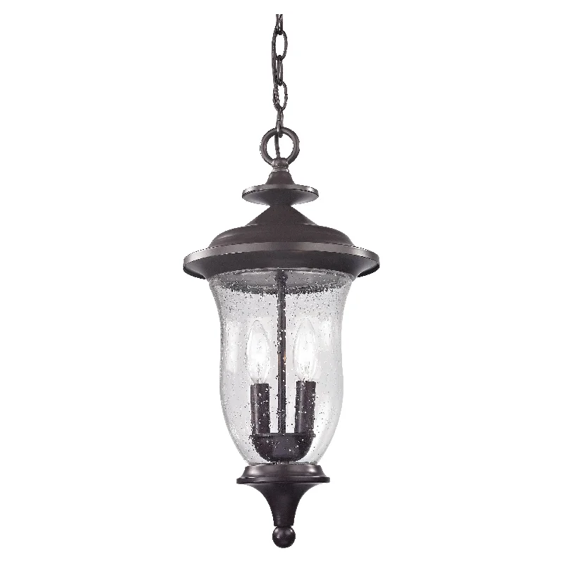 Metal Ceiling Lights in Brass, Copper, Stainless Steel, and IronMetal Ceiling Lights in Brass, Copper, Stainless Steel, and IronTrinity 9" Wide 2-Light Outdoor Pendant